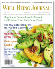 Well Being Journal
